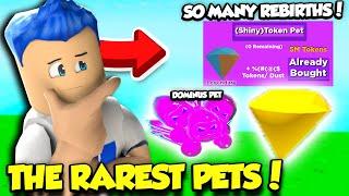 I Unlocked The RAREST SHINY TOKEN PET In Rebirth Simulator 2.0 And TONS OF REBIRTHS! (Roblox)