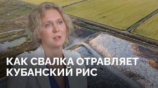 «Это как справлять нужду на стол, за которым мы едим» / Кубанская станица восстала против свалки