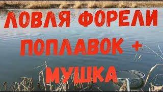 Быстрая Ловля Форели На Поплавок + Искусственная Муха