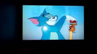 Tom and Jerry Fandubs (The Cue Ball Cat)