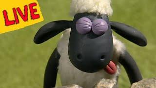 LIVE  New Full Episodes | Shaun the Sheep, Kids Cartoons | Preschool Fun