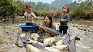How to harvest giant fish ponds to sell at the market - cook giant fish for your children to eat