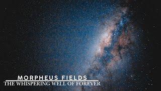 The Whispering Well of Forever (Morphogenic and Biophotonic Field)