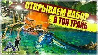 ARK SURVIVAL EVOLVED #5 | ОТКРЫВАЕТСЯ НАБОР В ТОП ТРАЙБ В АРК | арк сурвайвал эволв