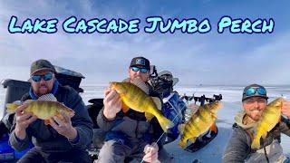 Lake Cascade Idaho, Ice Fishing for Jumbo Perch.