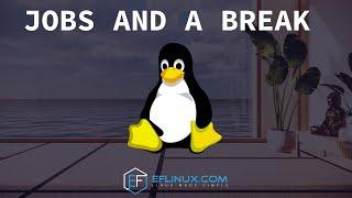 About Jobs and a Break
