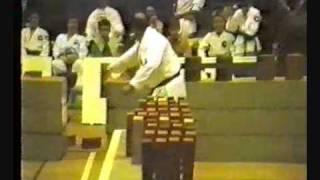 Guiness world record - 199 bricks broken in 60 seconds