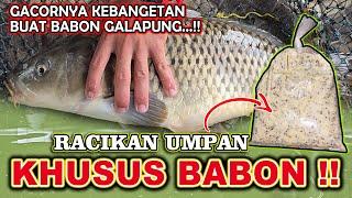 RACIKAN UMPAN TERGILA !! RESEP UMPAN IKAN MAS BABON LOMBA GALAPUNG GACORNYA KEBANGETAN 