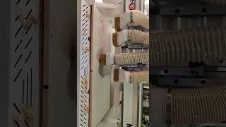 Fastest CNC Nesting machine #shorts #machineshorts