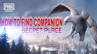 16 MAY ,COMPANIO(EAGLE) IN PUBG MOBILE,HOW TO GET COMPANION IN PUBG MOBILE |SECRET LOCATION OF EAGLE