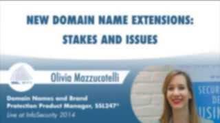 New Domain Name Extensions from SSL247®: Stakes and Issues