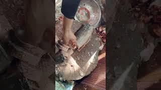 Fresh Fish Corner Big Size Fish Catting #shorts #fishing #colombia #instafish #linefish