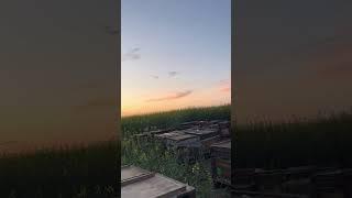 Хороший вечер )
