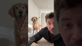 Nala woke up and chose chaos 