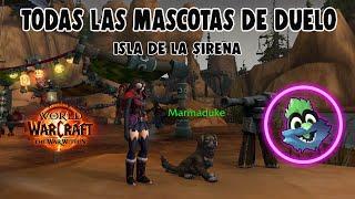 TODAS LAS MASCOTAS DE DUELO ISLA DE LA SIRENA | World of Warcraft