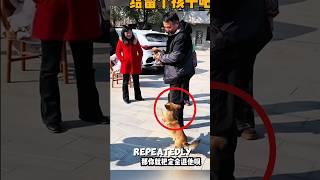This man took a puppy from its mother, intending to sell it. #shorts