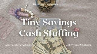 Tiny Savings Challenges Cash Stuffing | Envelope Savings Challenge