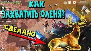 WASTELAND SURVIVAL ZOMBIE ПРОХОЖДЕНИЕ►ЗАДАНИЕ КАК ЗАХВАТИТЬ ОЛЕНЯ(Steam)