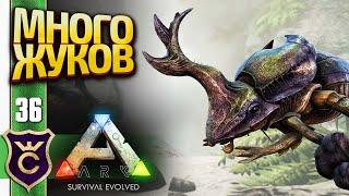 ПЕЩЕРА С КУЧЕЙ СКАРАБЕЕВ! ARK Survival Evolved #36