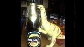 In Memory Of Dino Dave.flv