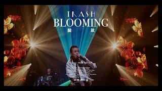 TRASH《綻放Blooming》(Official Ｍusic Video)