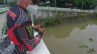 airgun fish hunting | Olongapo city