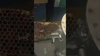 как мы делаем пергу