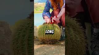 Have you ever been blamed for something j.  #funnyshorts #story #shortfeed #satisfying