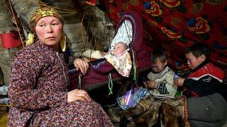 How people survive in FAR NORTH of RUSSIA? Yamal. Nomads Nenets