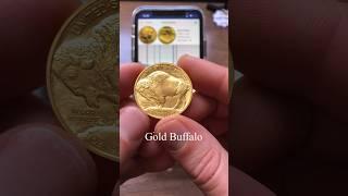 Gold Buffalo - ping test in app - prebeta