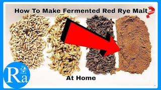 How To Make Fermented Red Rye Malt at Home!