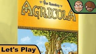 Agricola Familienspiel - Brettspiel - Let's Play