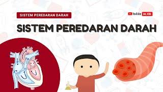 SIKLUS PEREDARAN DARAH MANUSIA