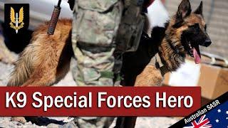 K9 Special Forces Hero: Kuga | August 2011