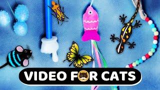 CAT GAMES - Mice, String, Fish, Bugs, Butterflies, Lizards, Hand Pointer.  Videos for Cats | CAT TV.