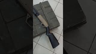 Карабин пневматический Stalker ShotGun