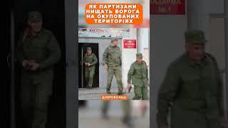 Як партизани нищать ворога на окупованих територіях