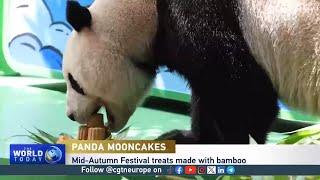 Panda join in with Mid-Autumn Festival with bamboo mooncakes