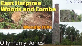 East Harptree Woods and Combe