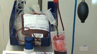 Quebec court orders blood transfusion for 14-year-old girl
