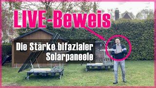 LIVE-Beweis – Die Stärke bifazialer Solarpaneele