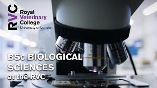 BSc Biological Sciences at the RVC