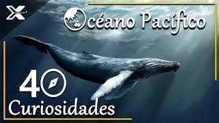 El Océano Pacífico | 40 Curiosidades