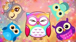 funny Baby Sensory - colorful owl dances ( danças de corujas coloridas )