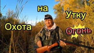 Охота на утку ружьё мр 43