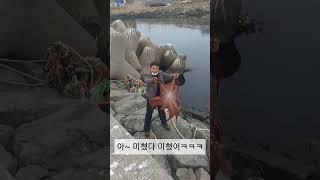 포항 방파제에서 문어 줍기성공!! #피문어 #참문어 대박Baby Calm Down Calm Down#octopus #shorts