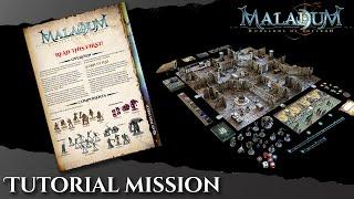 Maladum - Dungeons of Enveron Tutorial Quest and Component Overview