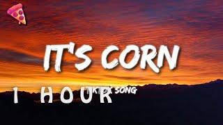 [1 HOUR  ] it's corn kid tiktok song lyrics  it's corn a big lump of knobs