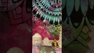 General Reading  Timeless #astrology #dailytarot #tarot  #search  #timelessreading