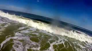 Drew Dog Daytona Beach Part 2